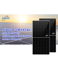 Modiwl Mono Deu-wyneb 550W